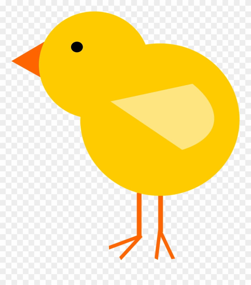chick clipart bird