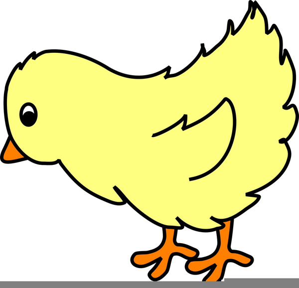 chick clipart cartoon