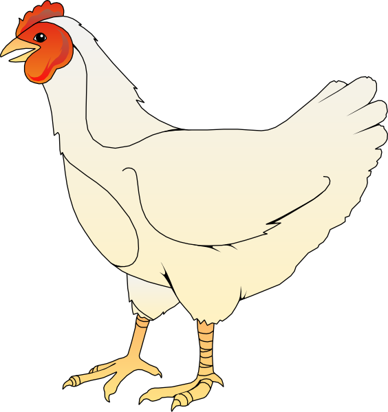 chickens clipart vector