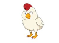 Chicken chick