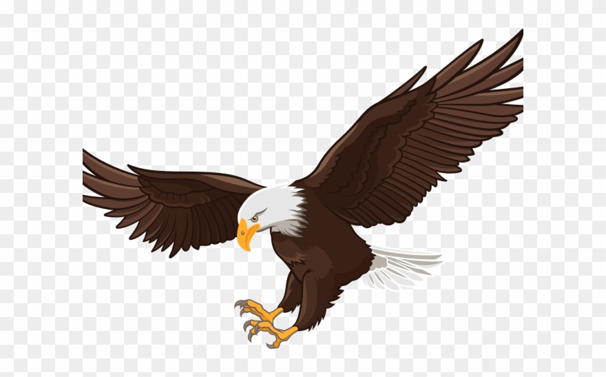 Download Eagles clipart transparent background, Eagles transparent ...