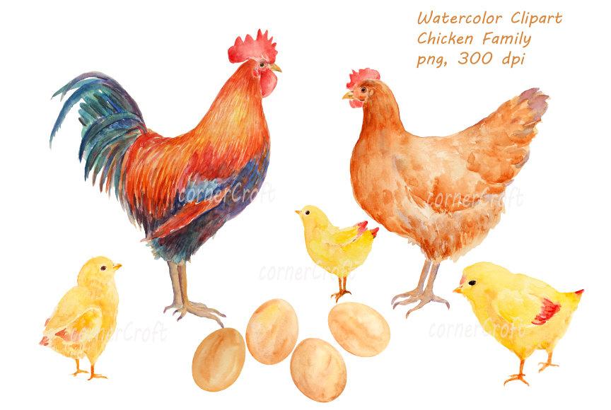 Watercolor hand drawn family. Chicken clipart fowl