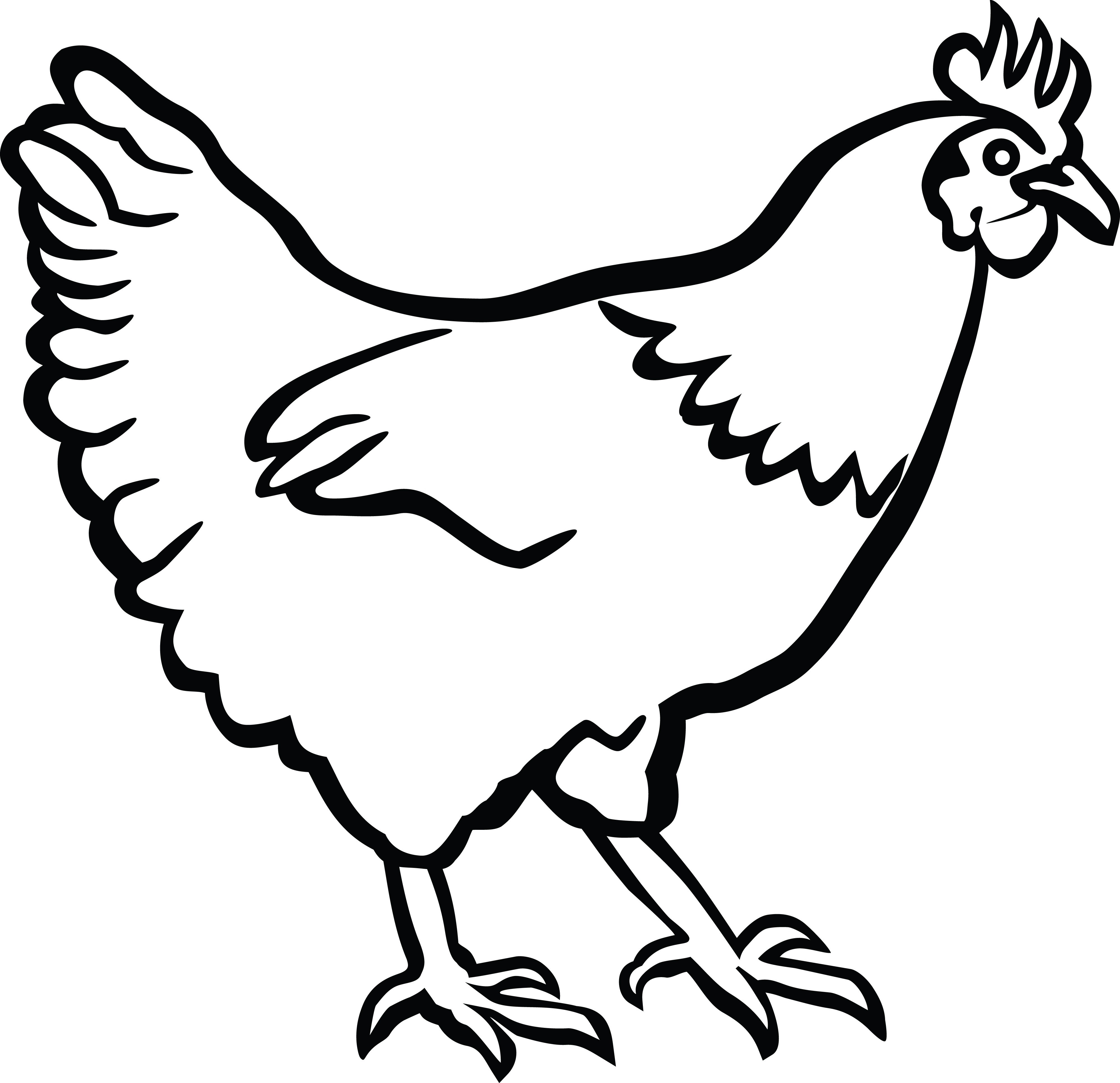 chicken clipart chicken drawing