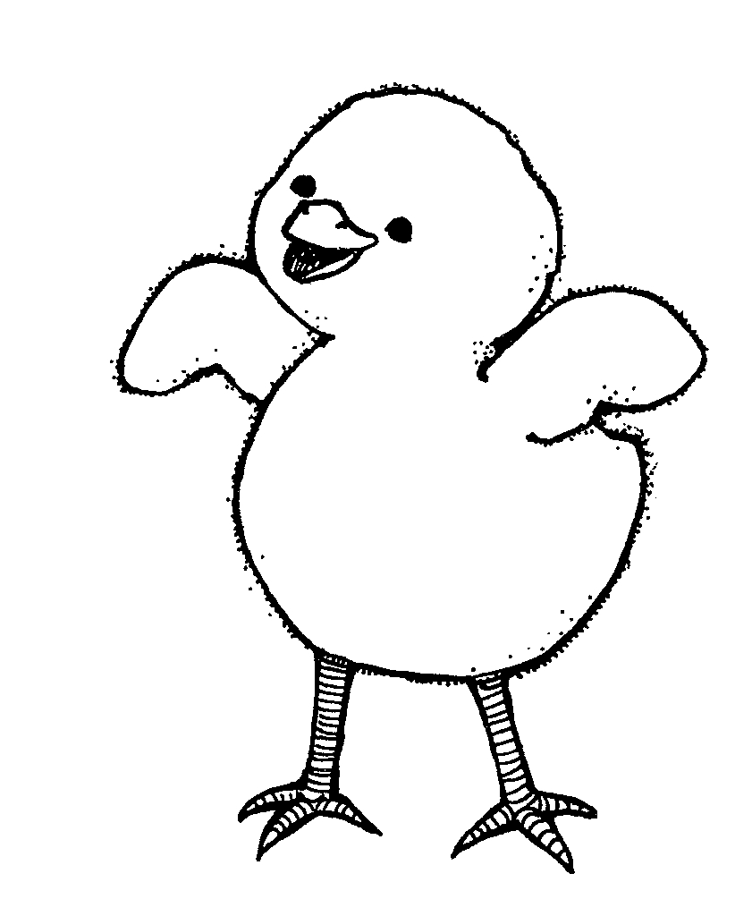 Chick outline