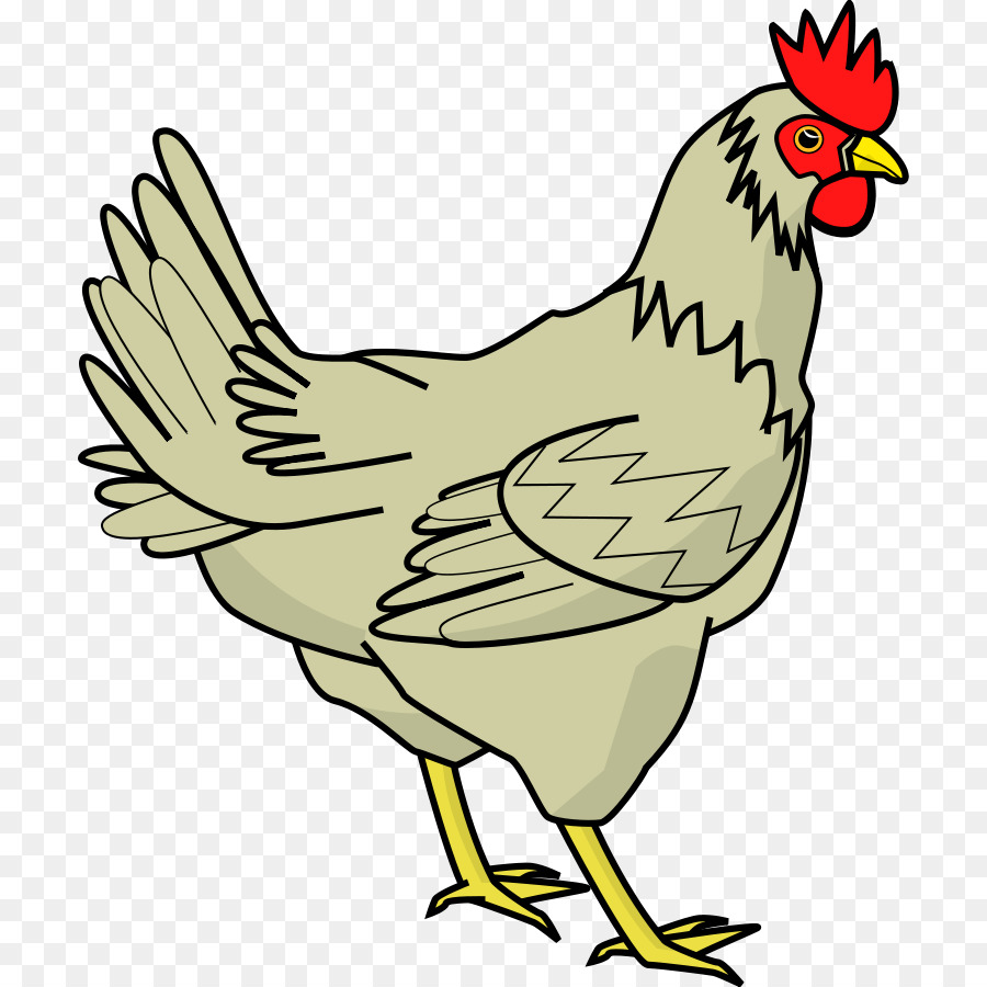 clipart chicken fowl