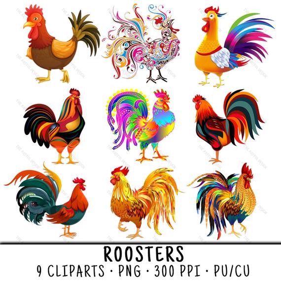 chick clipart rooster