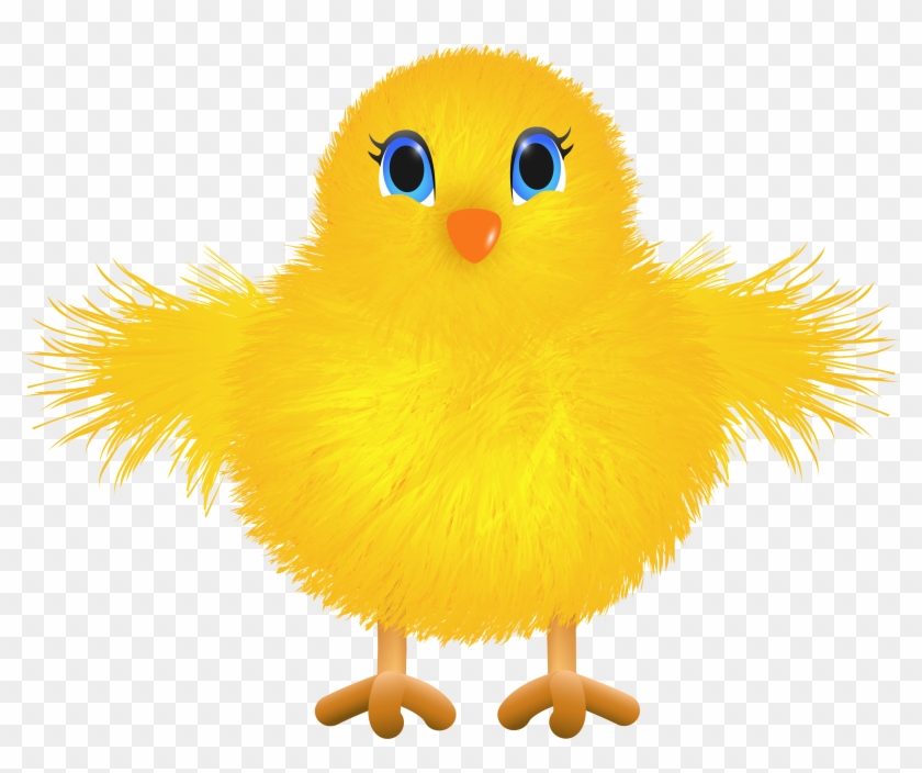 Cute yellow chicken png. Chick clipart transparent background
