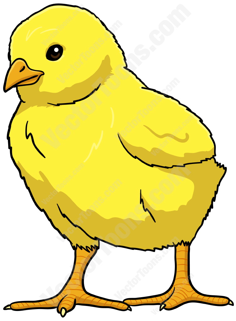 chick clipart yellow chick