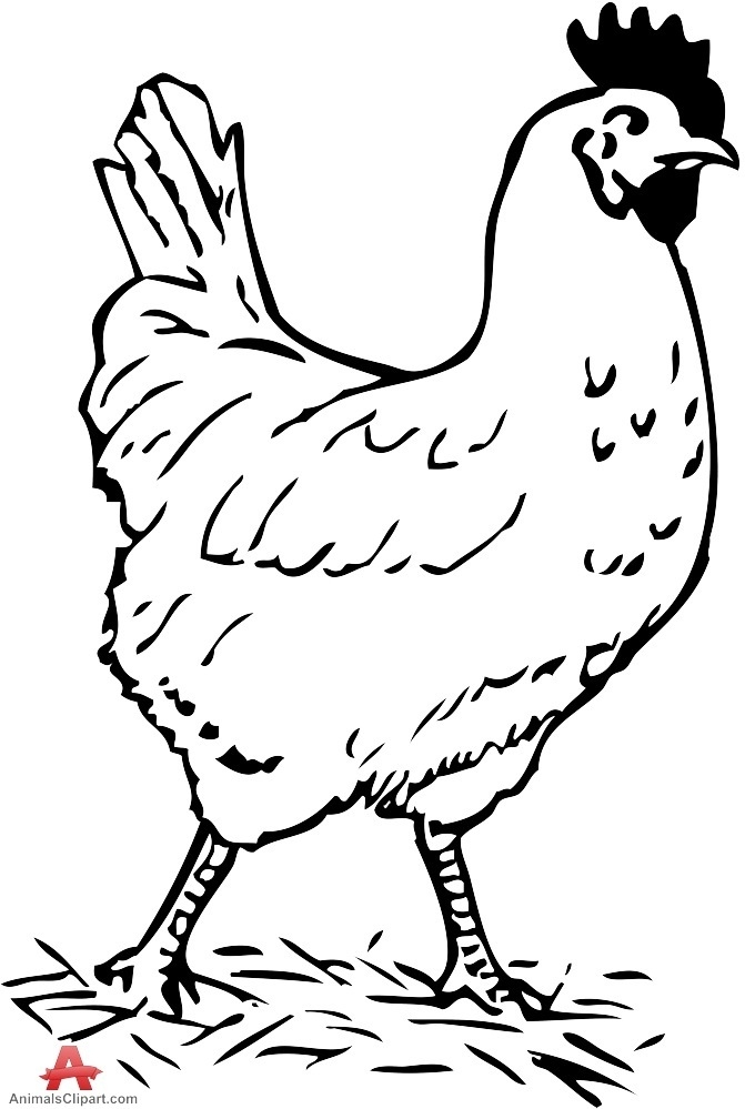 chickens clipart black and white