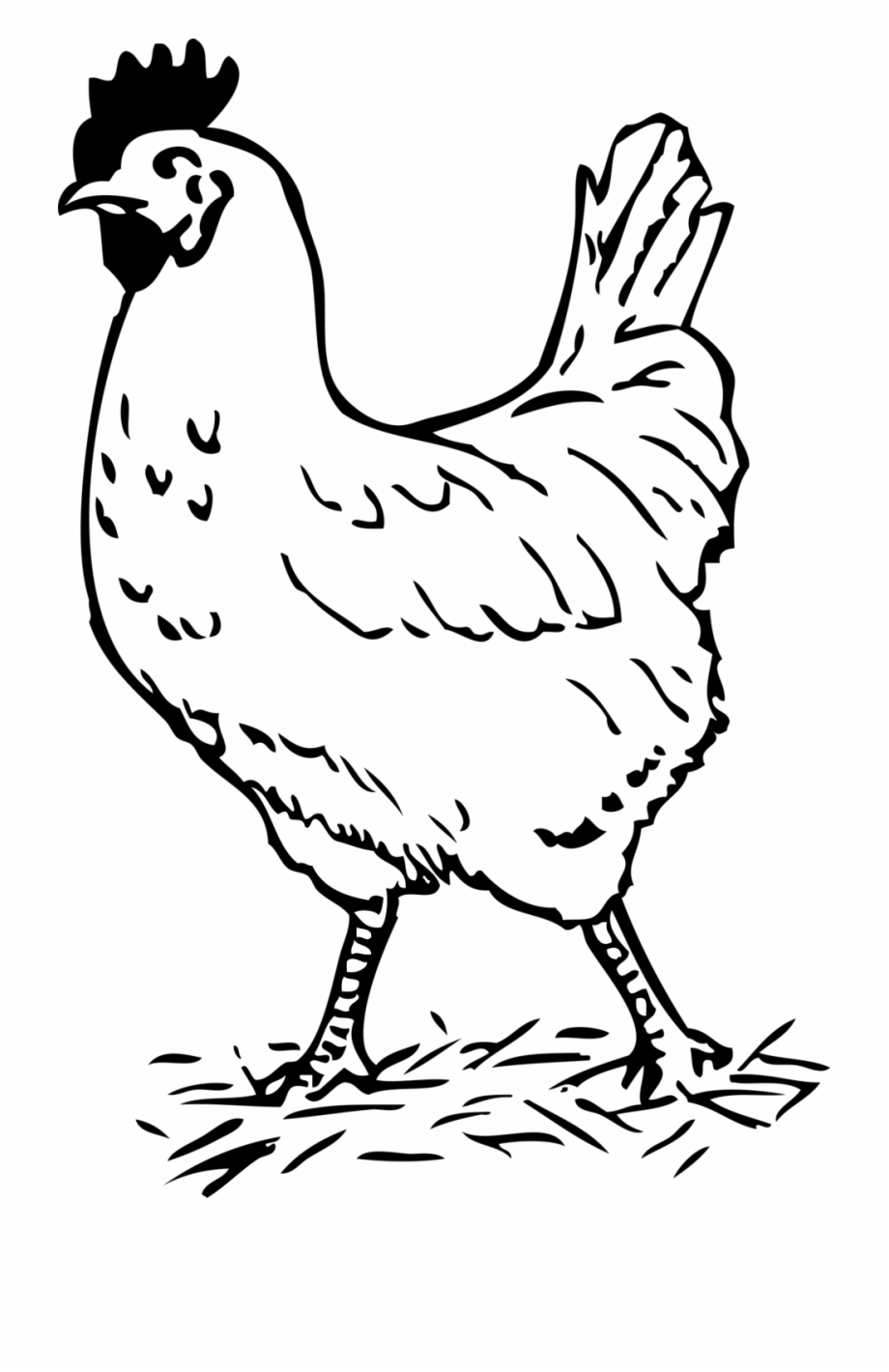 chicken clipart black and white