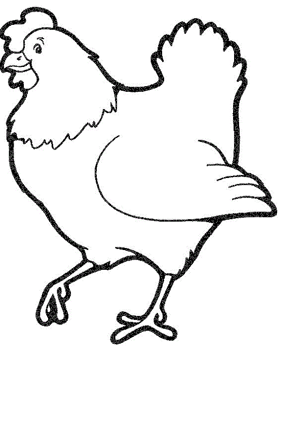 hen clipart colouring page