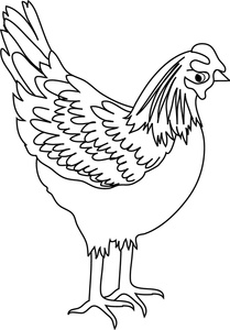 chicken clipart chicken drawing