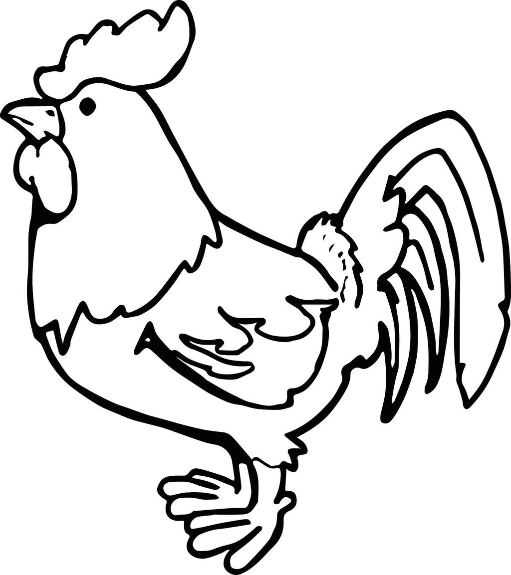 Chicken clipart chicken drawing, Picture #2355700 chicken clipart ...