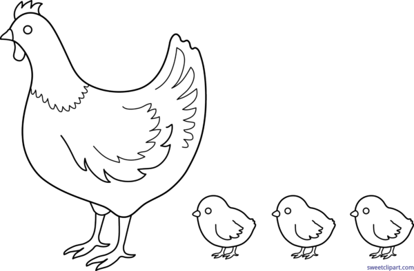 chicken clipart coloring page