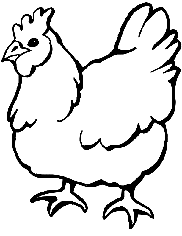 Free pages for chickens. Clipart chicken coloring page