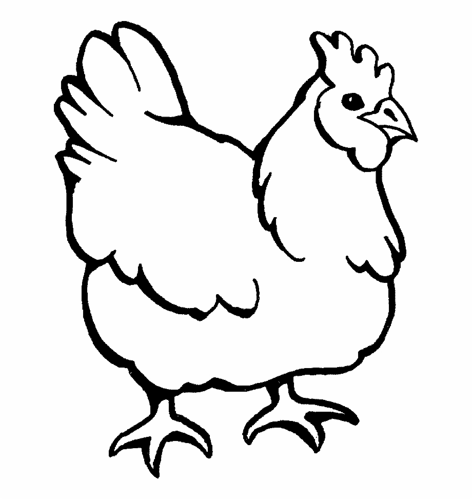 Chickens clipart coloring page, Chickens coloring page Transparent FREE ...