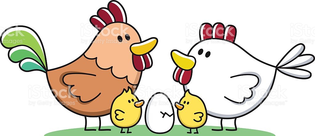 Chicken Clipart Family Chicken Family Transparent Free For Download On Webstockreview