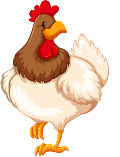 Pin by erzs bet. Chicken clipart farm animal