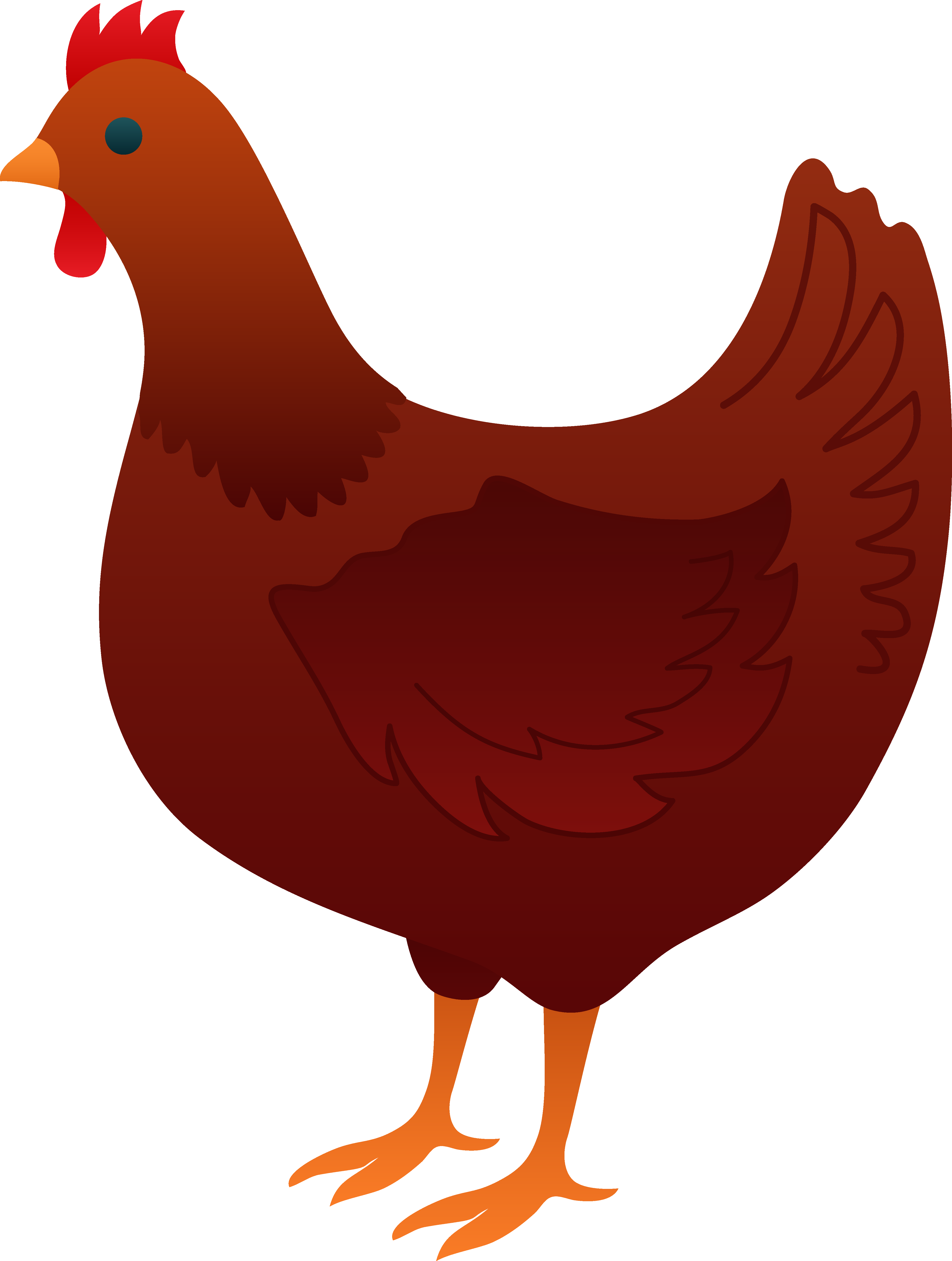 chickens clipart fowl