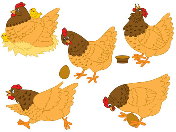 Chicken clipart hen. Digital vector farm bird
