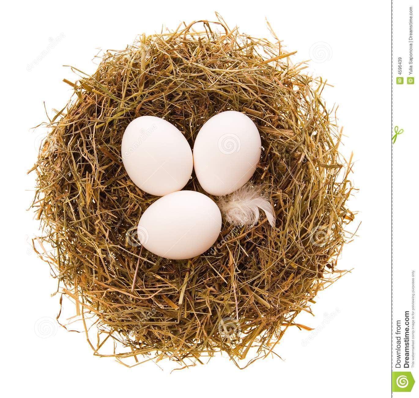  collection of with. Chicken clipart nest