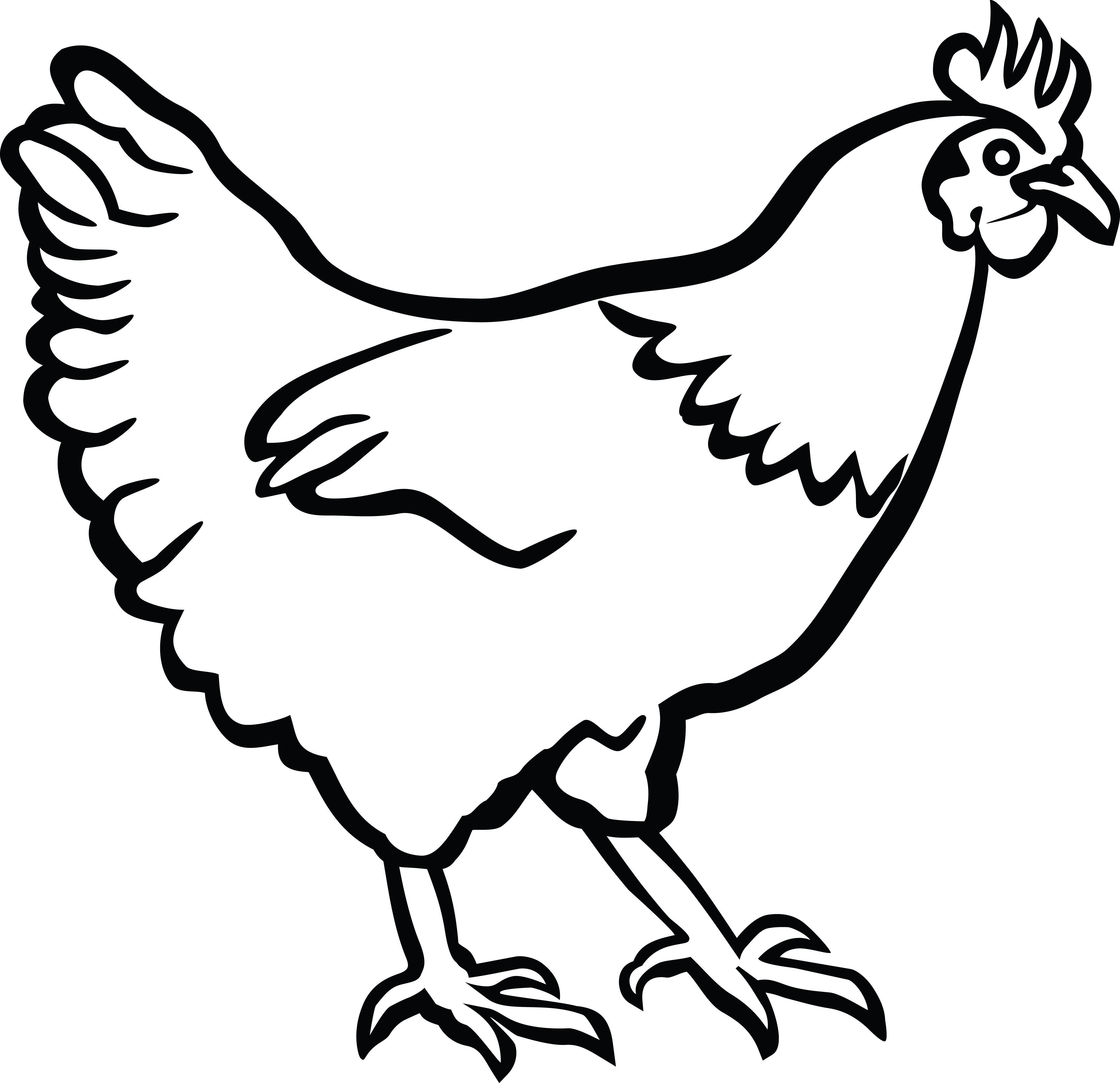 Chicken clipart outline, Chicken outline Transparent FREE for download