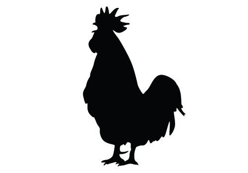 Outline at getdrawings com. Chicken clipart silhouette