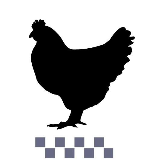 Chicken stencil