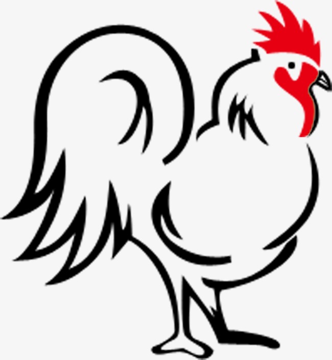 chickens clipart vector
