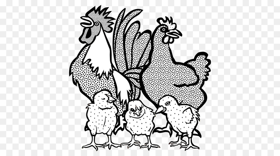 chickens clipart chicken drawing
