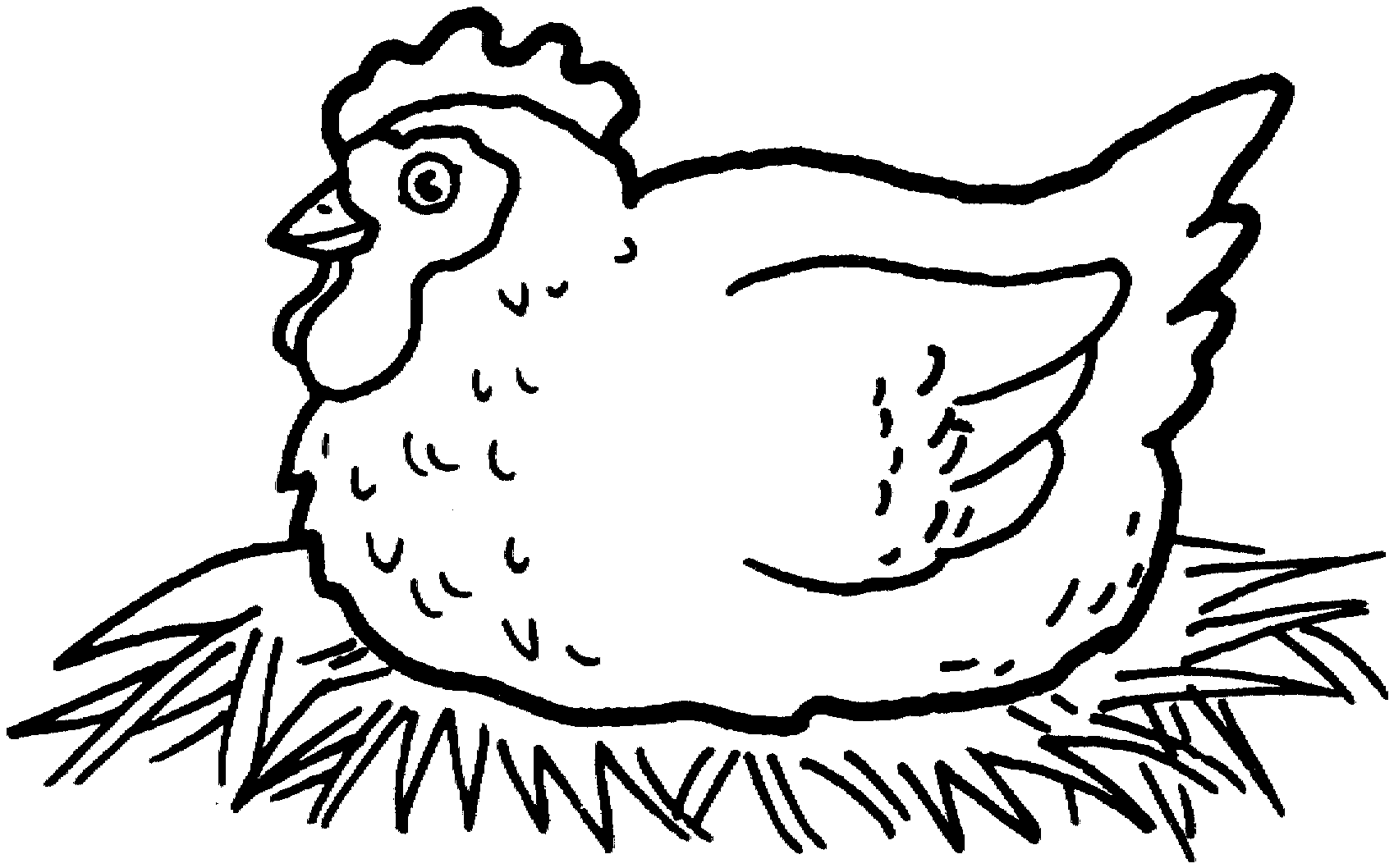 Clipart chicken coloring page. Free pages for chickens