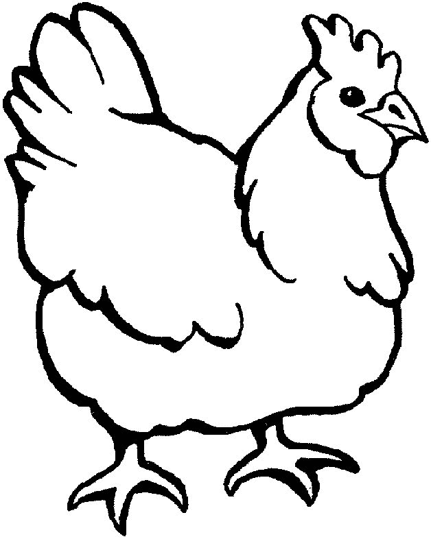 chickens clipart coloring page