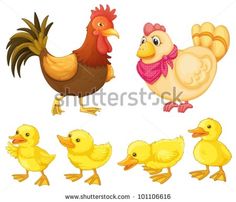 chickens clipart family