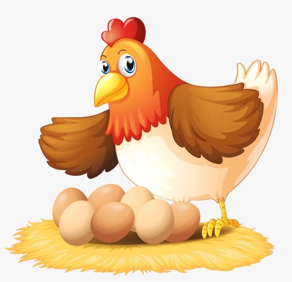 Clipart chicken hen. And eggs egg png