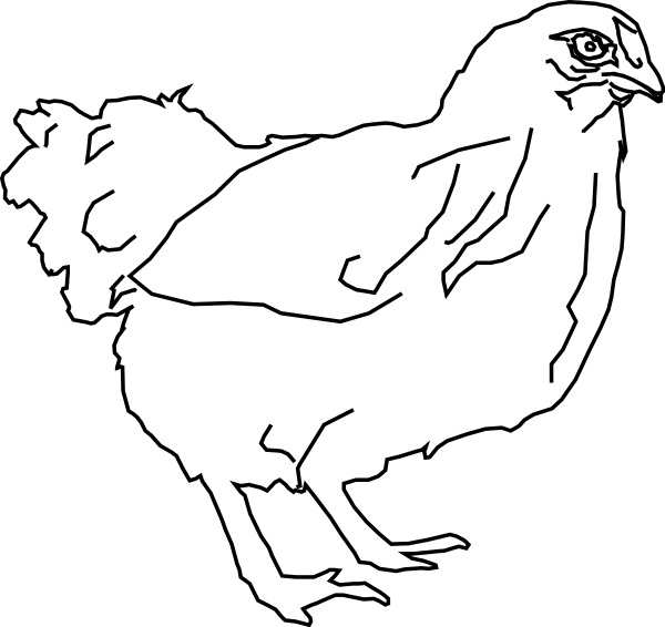 chickens clipart outline
