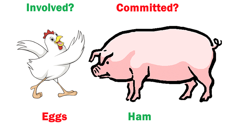 chickens clipart pig