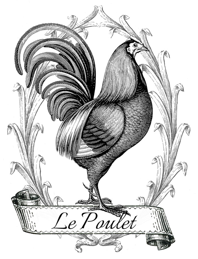 chickens clipart printable