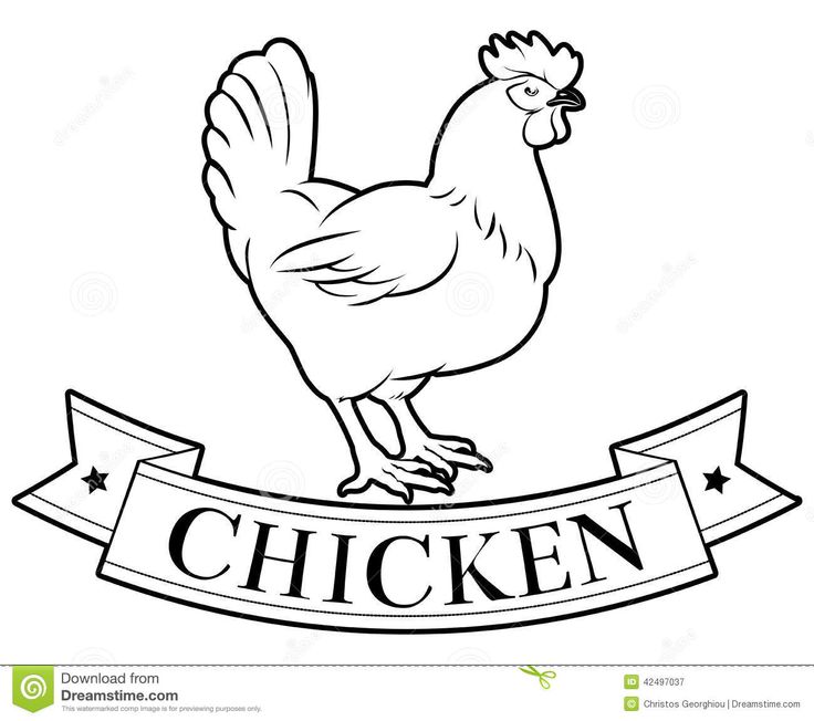 Vintage drawing google search. Clipart chicken rib