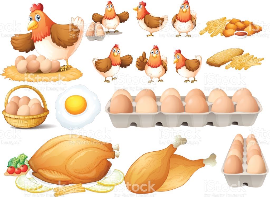 clipart chicken poultry product