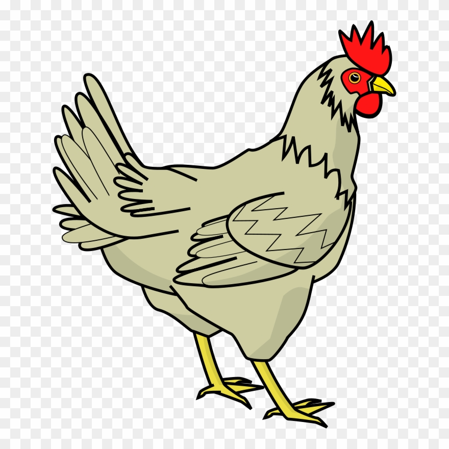 chickens clipart transparent background