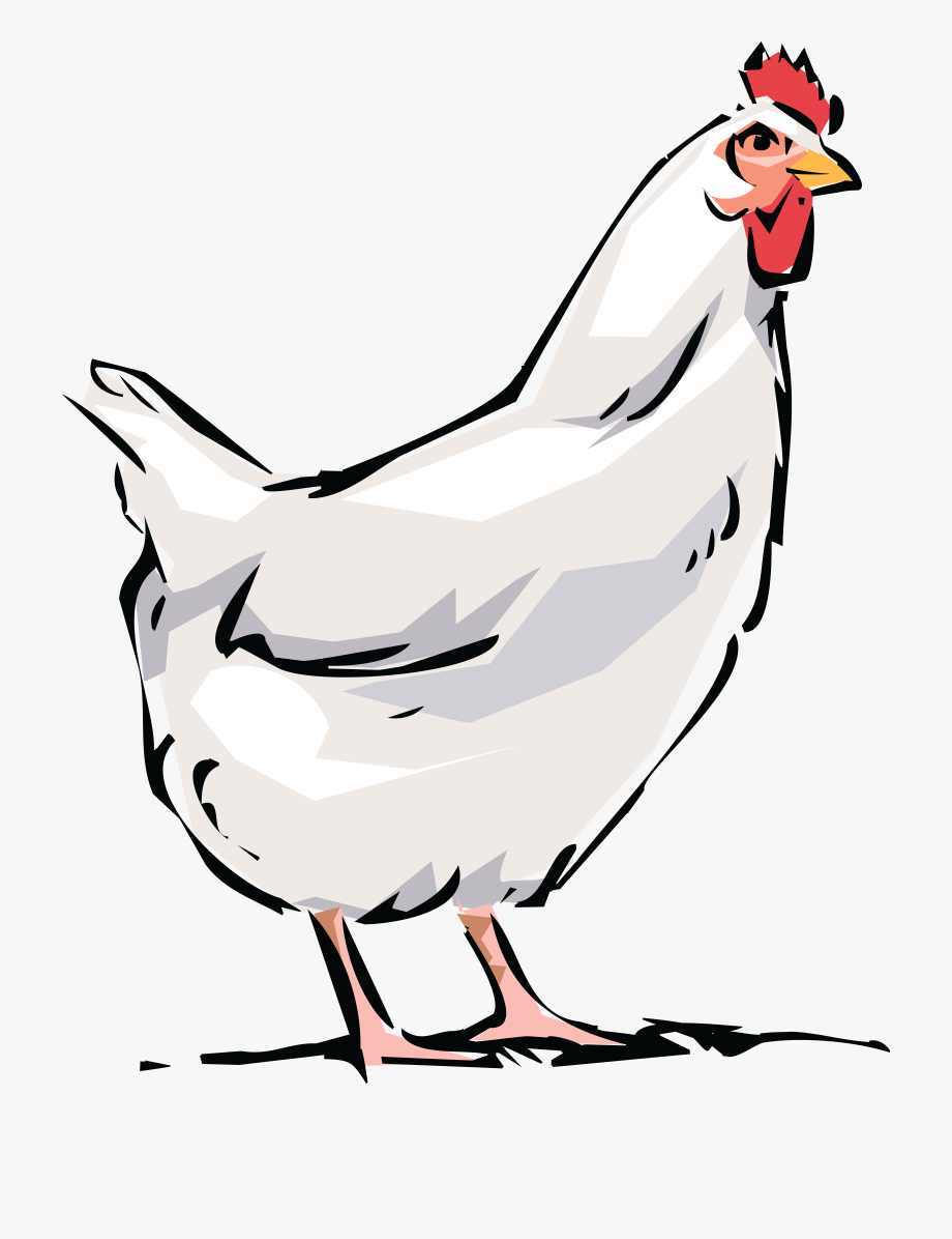 Chickens clipart transparent background. Latest cliparts for free