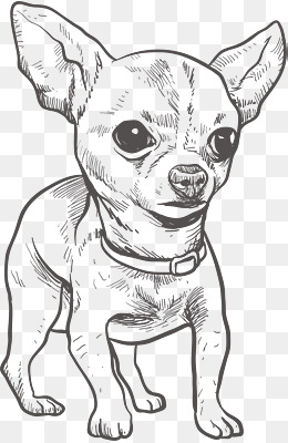 chihuahua clipart black and white