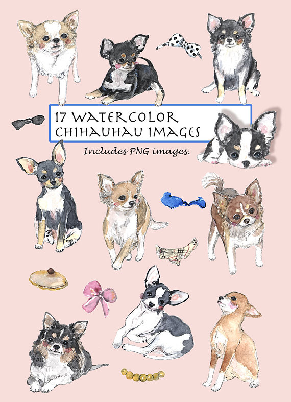 Clip art watercolor chihauhau. Chihuahua clipart brown dog