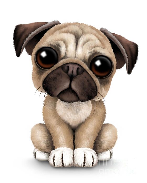 Chihuahua clipart cartoon baby.  best images on