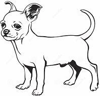 chihuahua clipart chiwawa