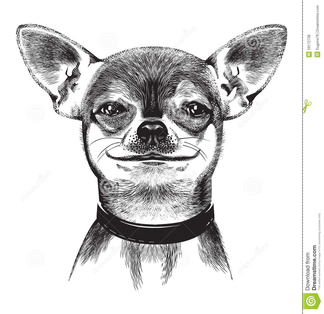chihuahua clipart chiwawa