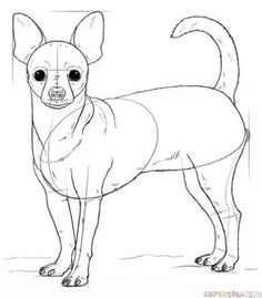 chihuahua clipart easy draw