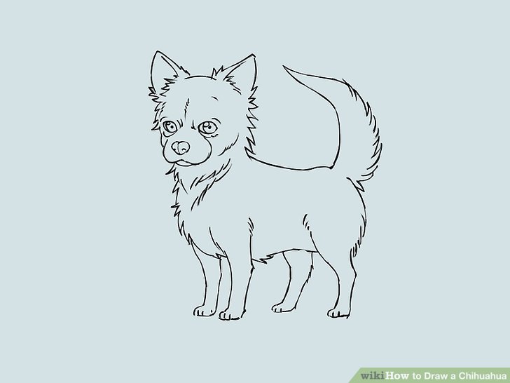 chihuahua clipart easy draw