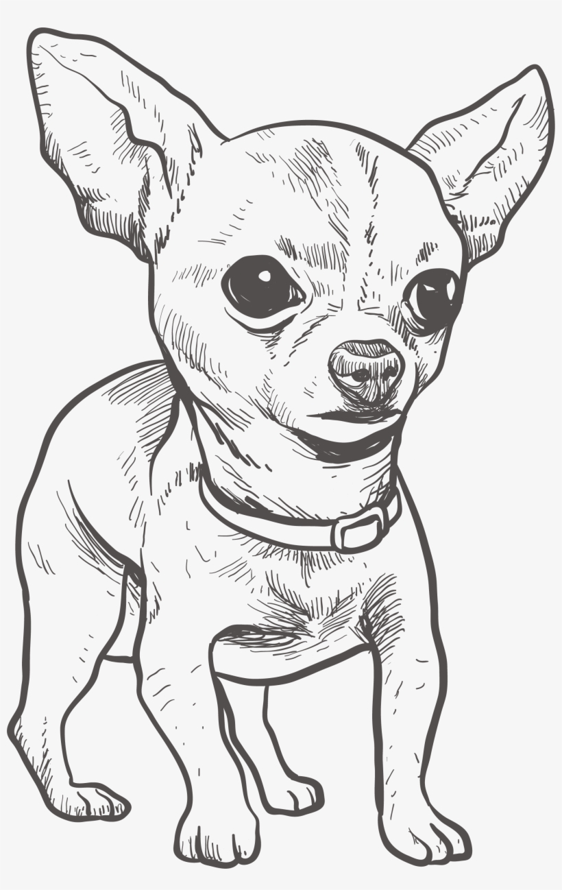 Chihuahua clipart easy draw, Chihuahua easy draw