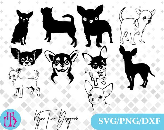 Chihuahua clipart file. Svg png dxf for
